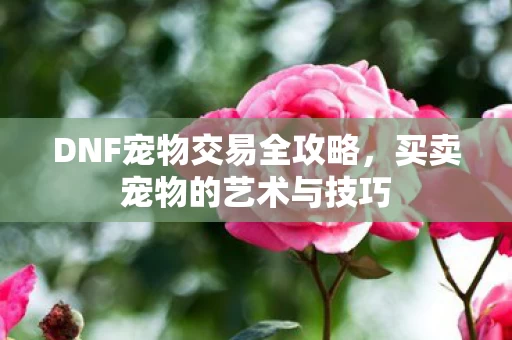 DNF宠物交易全攻略图片
