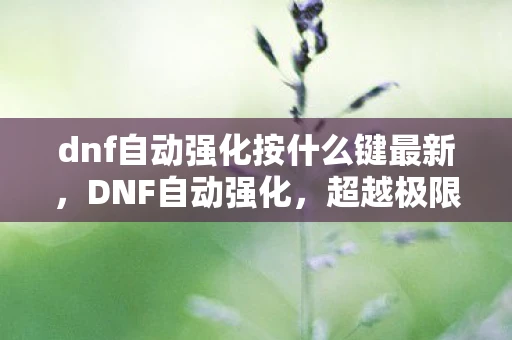 dnf自动强化按什么键最新，DNF自动强化，超越极限的战斗体验