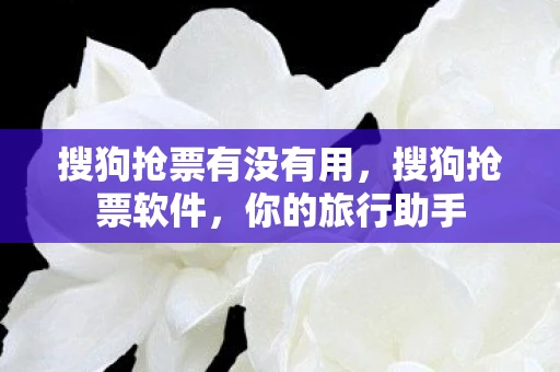 搜狗抢票有没有用，搜狗抢票软件，你的旅行助手