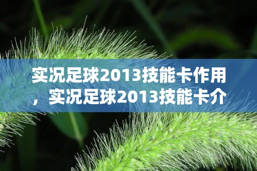 实况足球2013技能卡作用,实况足球2013技能卡介绍,技能卡系统详解 实况足球2013技能卡作用,实况足球2013技能卡介绍,技能卡系统详解