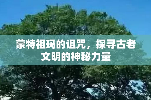 探寻古老文明的神秘力量图片