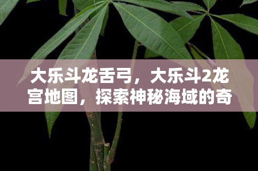大乐斗龙舌弓，大乐斗2龙宫地图，探索神秘海域的奇幻冒险之旅