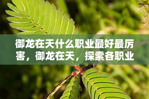 御龙在天什么职业最好最厉害,御龙在天,探索各职业的魅力,发现最好玩的职业! 御龙在天什么职业最好最厉害,御龙在天,探索各职业的魅力,发现最好玩的职业!