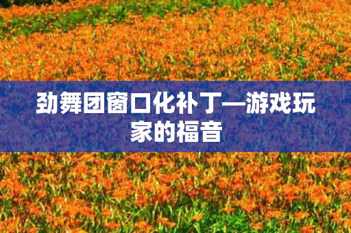 劲舞团窗口化补丁—游戏玩家的福音