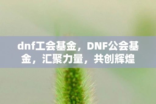 dnf工会基金,DNF公会基金,汇聚力量,共创辉煌 dnf工会基金,DNF公会基金,汇聚力量,共创辉煌