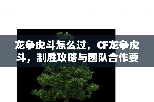 龙争虎斗怎么过，CF龙争虎斗，制胜攻略与团队合作要点