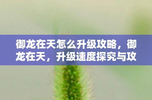 御龙在天怎么升级攻略,御龙在天,升级速度探究与攻略 御龙在天怎么升级攻略,御龙在天,升级速度探究与攻略