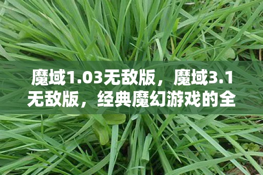 魔域1.03无敌版,魔域3.1无敌版,经典魔幻游戏的全新呈现 魔域1.03无敌版,魔域3.1无敌版,经典魔幻游戏的全新呈现