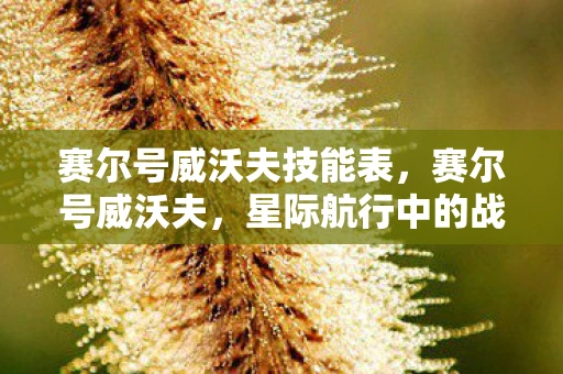 赛尔号威沃夫技能表,赛尔号威沃夫,星际航行中的战斗与探索 赛尔号威沃夫技能表,赛尔号威沃夫,星际航行中的战斗与探索