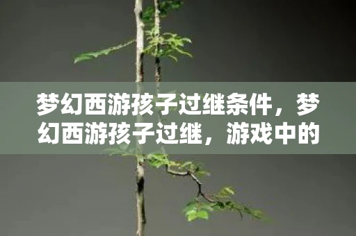 梦幻西游孩子过继条件，梦幻西游孩子过继，游戏中的亲子传承与情感纽带