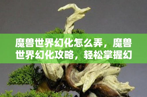 魔兽世界幻化怎么弄,魔兽世界幻化攻略,轻松掌握幻化技巧 魔兽世界幻化怎么弄,魔兽世界幻化攻略,轻松掌握幻化技巧