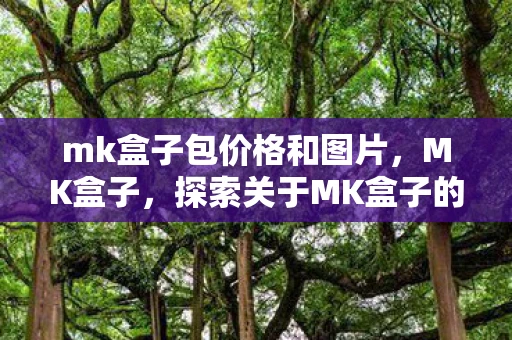 mk盒子包价格和图片,MK盒子,探索关于MK盒子的神秘世界 mk盒子包价格和图片,MK盒子,探索关于MK盒子的神秘世界