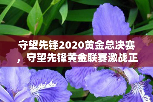 守望先锋2020黄金总决赛,守望先锋黄金联赛激战正酣,电竞新星闪耀全场 守望先锋2020黄金总决赛,守望先锋黄金联赛激战正酣,电竞新星闪耀全场