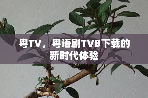 粤语剧TVB下载的新时代体验图片