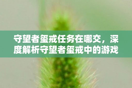 守望者玺戒任务在哪交，深度解析守望者玺戒中的游戏世界观与玩家体验
