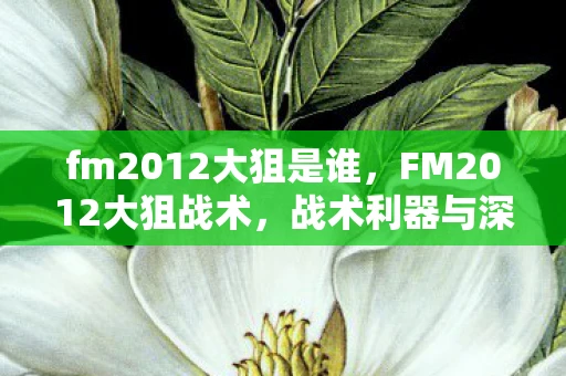 fm2012大狙是谁,FM2012大狙战术,战术利器与深度解析 fm2012大狙是谁,FM2012大狙战术,战术利器与深度解析