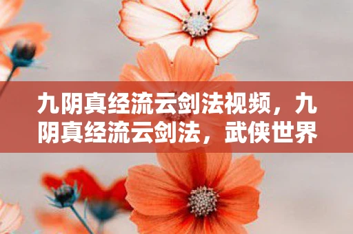 九阴真经流云剑法视频,九阴真经流云剑法,武侠世界中的极致武学体验 九阴真经流云剑法视频,九阴真经流云剑法,武侠世界中的极致武学体验