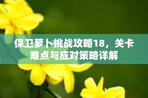 关卡难点与应对策略详解图片
