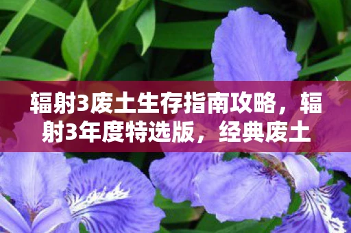 辐射3废土生存指南攻略,辐射3年度特选版,经典废土之旅的重温与升华 辐射3废土生存指南攻略,辐射3年度特选版,经典废土之旅的重温与升华
