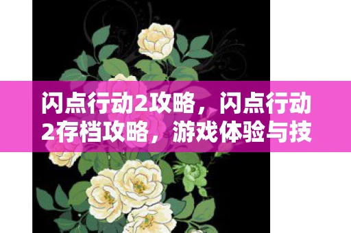 闪点行动2攻略，闪点行动2存档攻略，游戏体验与技巧探讨