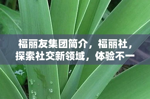 福丽友集团简介,福丽社,探索社交新领域,体验不一样的社交魅力 福丽友集团简介,福丽社,探索社交新领域,体验不一样的社交魅力