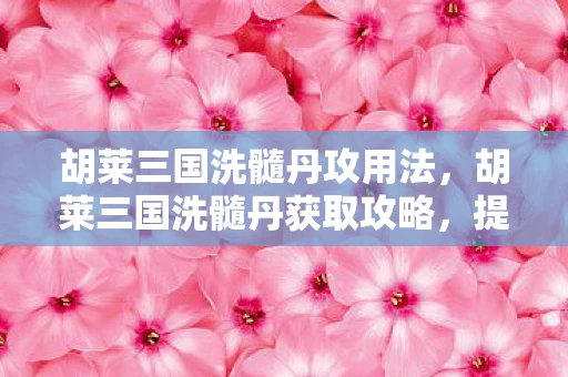 胡莱三国洗髓丹攻用法,胡莱三国洗髓丹获取攻略,提升武将实力的秘密武器! 胡莱三国洗髓丹攻用法,胡莱三国洗髓丹获取攻略,提升武将实力的秘密武器!
