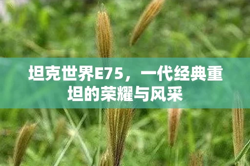 一代经典重坦的荣耀与风采图片