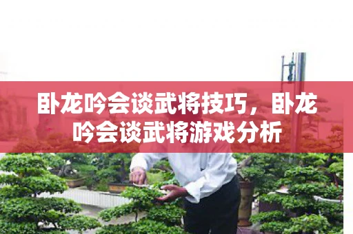 卧龙吟会谈武将技巧,卧龙吟会谈武将游戏分析 卧龙吟会谈武将技巧,卧龙吟会谈武将游戏分析