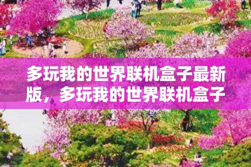 多玩我的世界联机盒子最新版,多玩我的世界联机盒子iOS下载指南 多玩我的世界联机盒子最新版,多玩我的世界联机盒子iOS下载指南