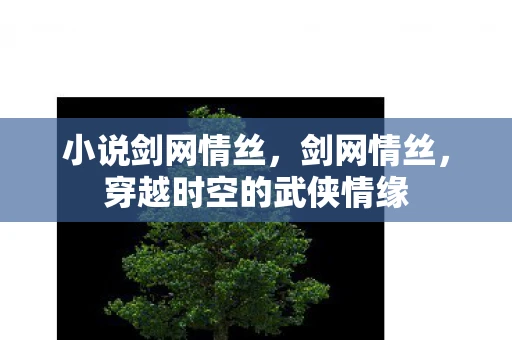 小说剑网情丝，剑网情丝，穿越时空的武侠情缘