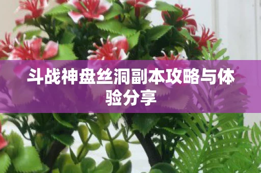 斗战神盘丝洞副本攻略与体验分享图片