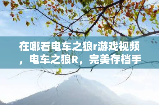 在哪看电车之狼r游戏视频，电车之狼R，完美存档手册