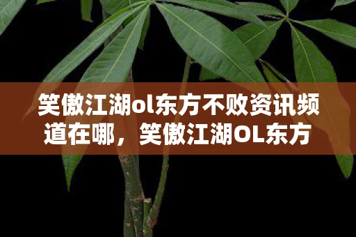 笑傲江湖ol东方不败资讯频道在哪,笑傲江湖OL东方不败资讯频道—深度解析新版本特性与游戏攻略 笑傲江湖ol东方不败资讯频道在哪,笑傲江湖OL东方不败资讯频道—深度解析新版本特性与游戏攻略