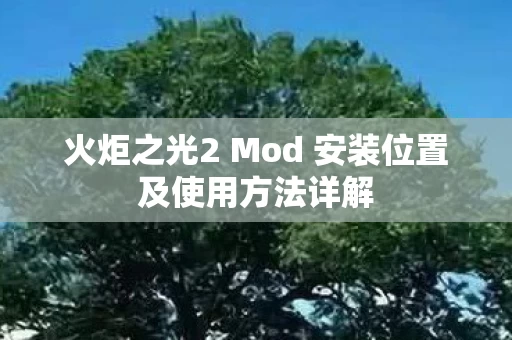 火炬之光2 Mod 安装位置及使用方法详解图片