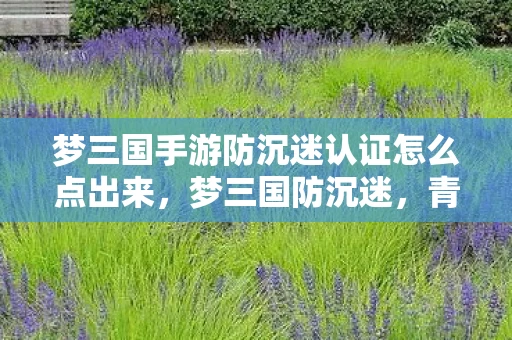 梦三国手游防沉迷认证怎么点出来，梦三国防沉迷，青少年游戏健康成长的护航者