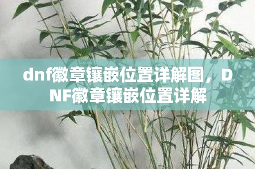 dnf徽章镶嵌位置详解图，DNF徽章镶嵌位置详解