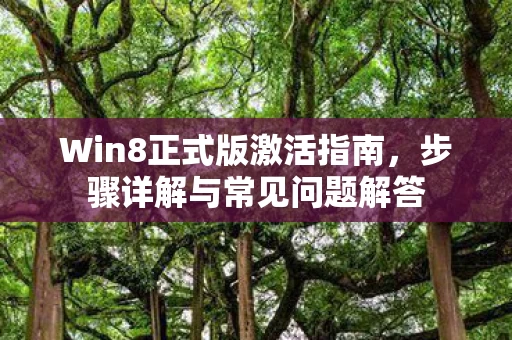 Win8正式版激活指南图片