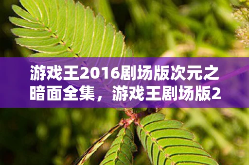 游戏王2016剧场版次元之暗面全集，游戏王剧场版2016，次元的暗面—跨越次元的激战