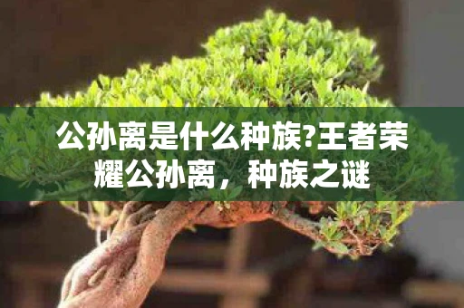 公孙离是什么种族?王者荣耀公孙离,种族之谜 公孙离是什么种族?王者荣耀公孙离,种族之谜