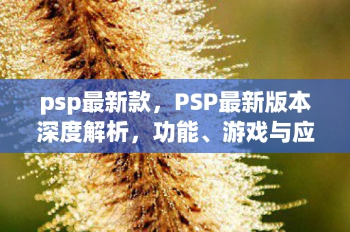 psp最新款,PSP最新版本深度解析,功能、游戏与应用体验 psp最新款,PSP最新版本深度解析,功能、游戏与应用体验