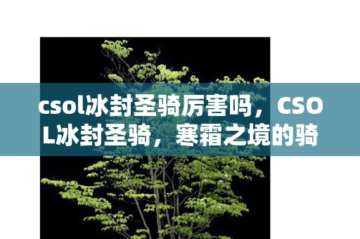 csol冰封圣骑厉害吗，CSOL冰封圣骑，寒霜之境的骑士传奇