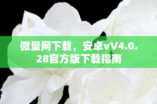 28官方版下载指南图片