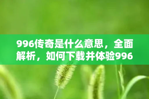 996传奇是什么意思,全面解析,如何下载并体验996传奇视频秀安卓版v0.0.1官方版 996传奇是什么意思,全面解析,如何下载并体验996传奇视频秀安卓版v0.0.1官方版