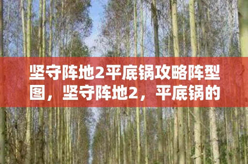 坚守阵地2平底锅攻略阵型图,坚守阵地2,平底锅的无尽防御—一场策略与勇气的较量 坚守阵地2平底锅攻略阵型图,坚守阵地2,平底锅的无尽防御—一场策略与勇气的较量