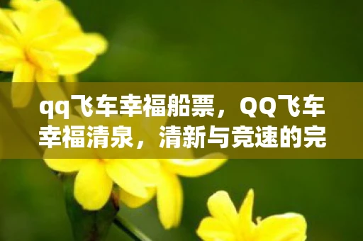qq飞车幸福船票，QQ飞车幸福清泉，清新与竞速的完美融合