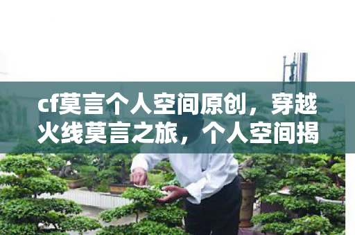 cf莫言个人空间原创，穿越火线莫言之旅，个人空间揭秘与深度探索