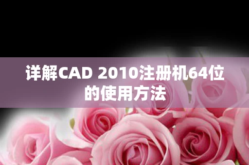 详解CAD 2010注册机64位的使用方法图片