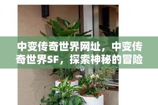 中变传奇世界网址，中变传奇世界SF，探索神秘的冒险世界