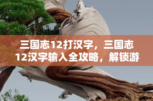 三国志12打汉字，三国志12汉字输入全攻略，解锁游戏深度与文化体验