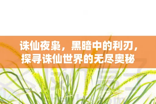 探寻诛仙世界的无尽奥秘图片